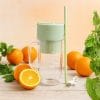 Portable Crusher Juicer Cup wotj straw Portable Crusher Juicer Cup with straw